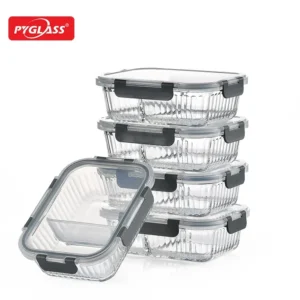 borosilicate container with snap locking lid 2 compartment